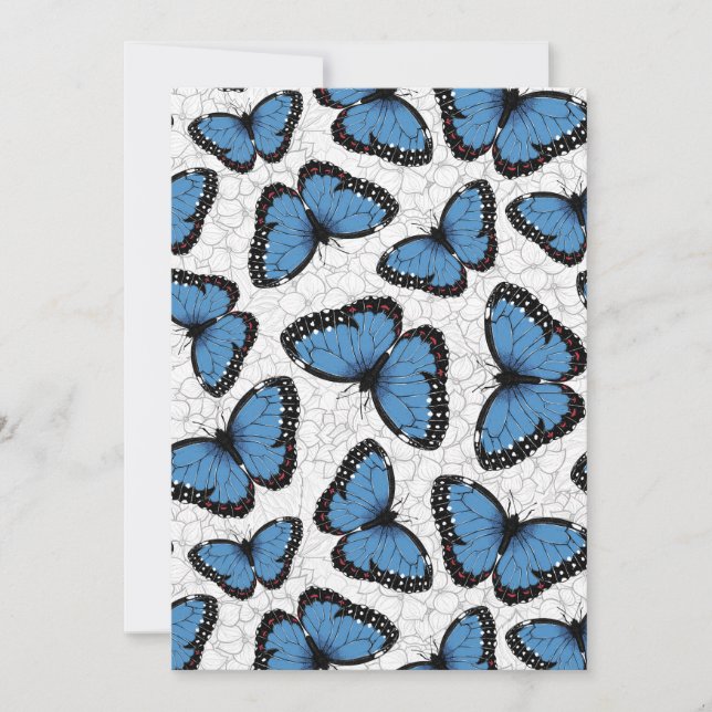 Blå morfo butterflies (Framsida)