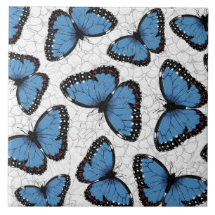 Blå morfo butterflies kakelplatta