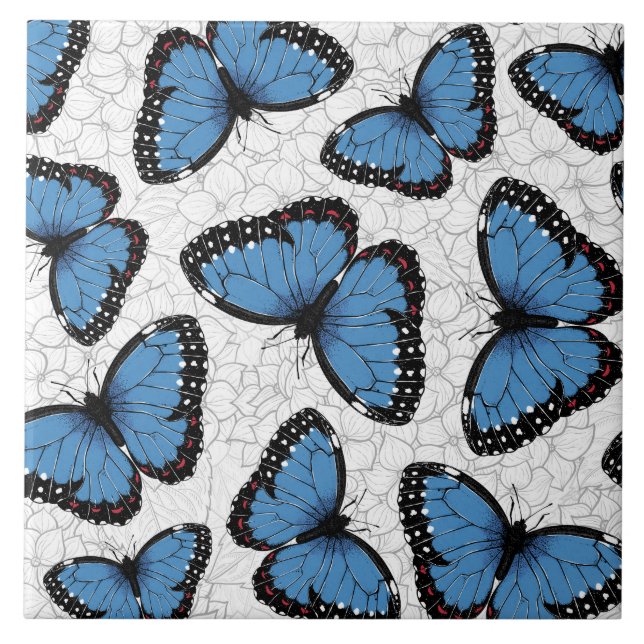Blå morfo butterflies kakelplatta (Framsidan)