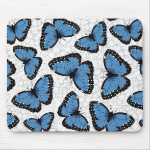 Blå morfo butterflies musmatta