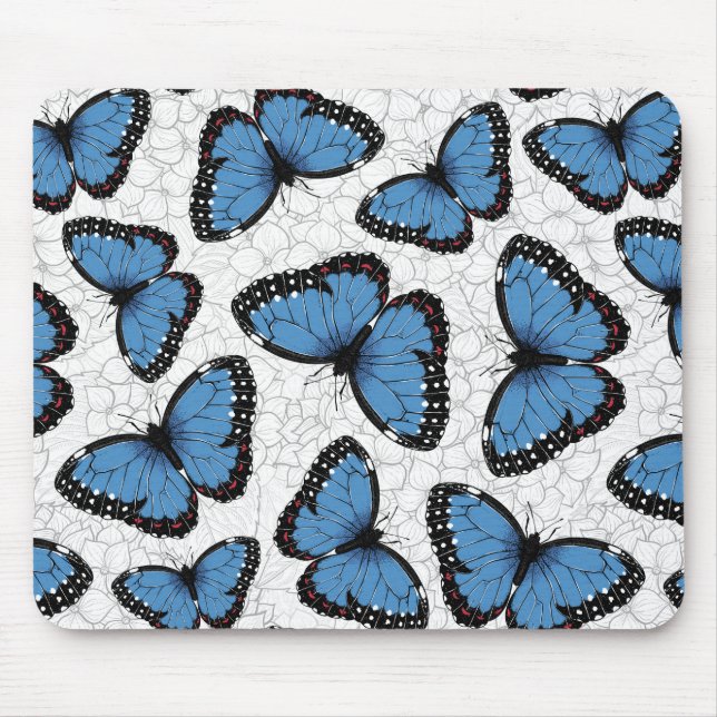 Blå morfo butterflies musmatta (Framsidan)