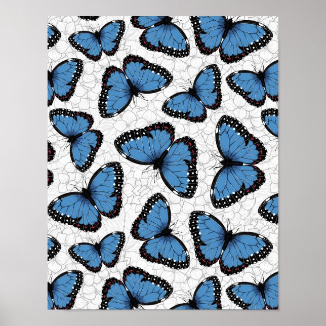 Blå morfo butterflies poster (Framsidan)