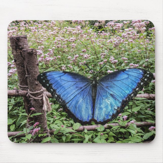 Blå morfo Butterfly Rustic Design Musmatta (Framsidan)