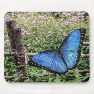Blå morfo Butterfly Rustic Design Musmatta