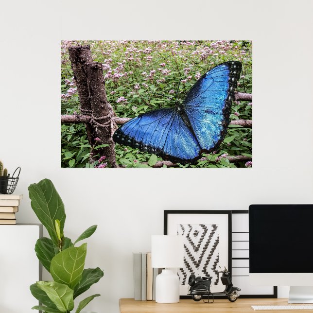 Blå morfo Butterfly Rustic Design Poster (Hemmakontoret)