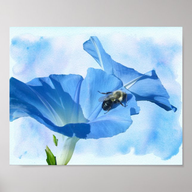 Blå morgon Glory och Bumblebee Poster (Framsidan)