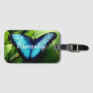 Blå morpho butterfly-fotoresresgodsmärkning bagagebricka
