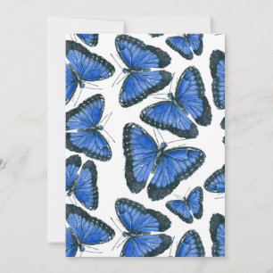 Blå morpho butterfly mönster