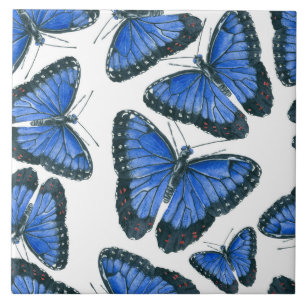 Blå morpho butterfly mönster kakelplatta