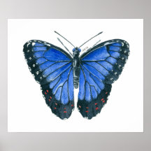 Blå Morpho fjäril akvarellmålning