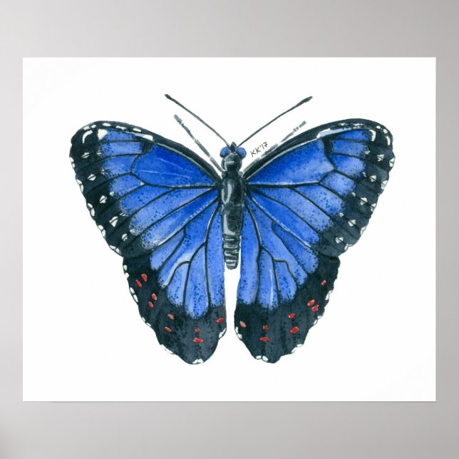 Blå Morpho fjäril akvarellmålning Poster (Framsidan)