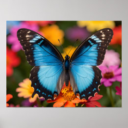 Blå Morpho Fjäril Blommig Botanisk Foto Konst Poster