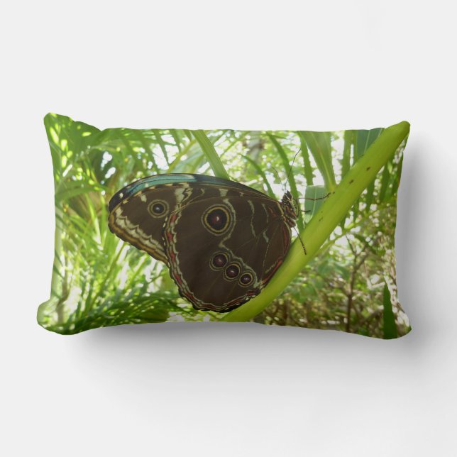 Blå Morpho Fjäril Naturfotografi Lumbarkudde (Framsida)