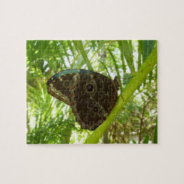 Blå Morpho Fjäril Naturfotografi Pussel