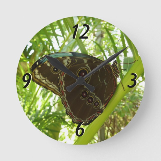 Blå Morpho Fjäril Naturfotografi Rund Klocka (Framsida)