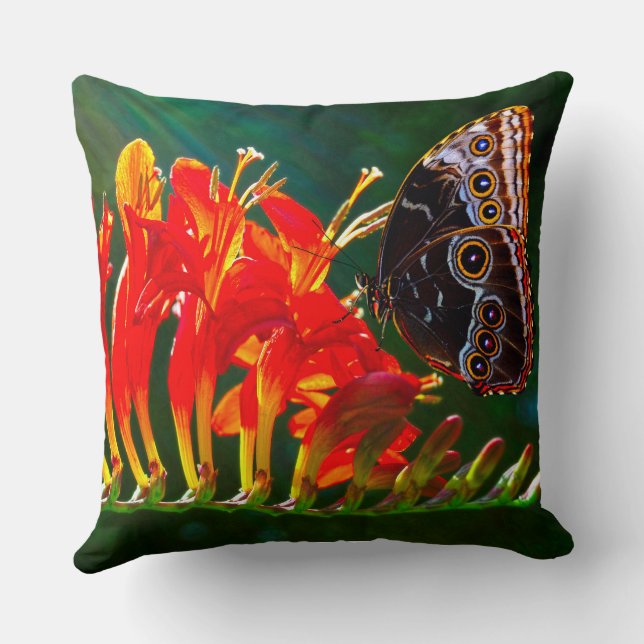 Blå morpho fjäril på Crocosmia Lucifer blommor Kudde (Baksida)