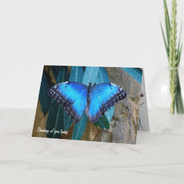 Blå Morpho-fjärilar som tänker på dig Kort