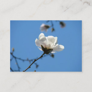 Blå möteskort anpassade Vita Magnolia Flora Tidsbeställning Kort