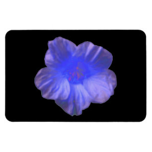 Blå Nasturtium Flower Premium Magnet
