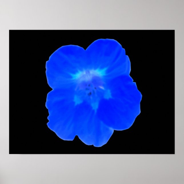 Blå Nasturtium-utskrift Poster (Framsidan)