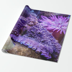Blå oceanens lila bläckfisk, papprare presentpapper