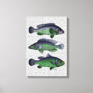 Blå och Grönt fisktrio Canvastryck