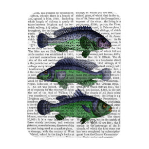 Blå och Grönt fisktrio Magnet