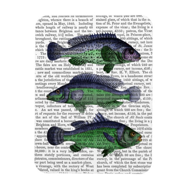 Blå och Grönt fisktrio Magnet (Vertikal)