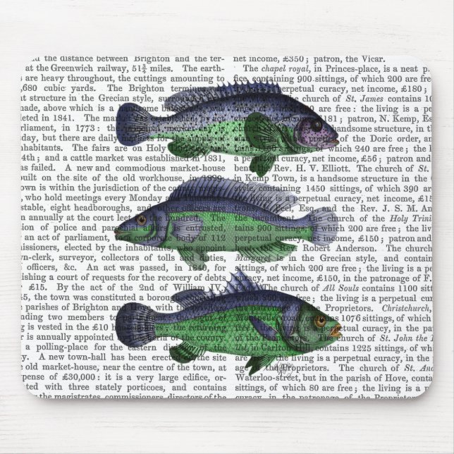 Blå och Grönt fisktrio Musmatta (Framsidan)