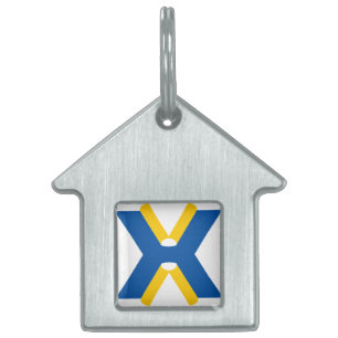 Blå och gul bokstav X monogram ID-bricka Husdjur