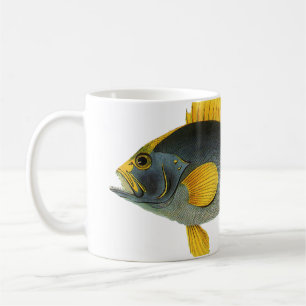 Blå och gul grouperfisk, gammal marin fauna kaffemugg