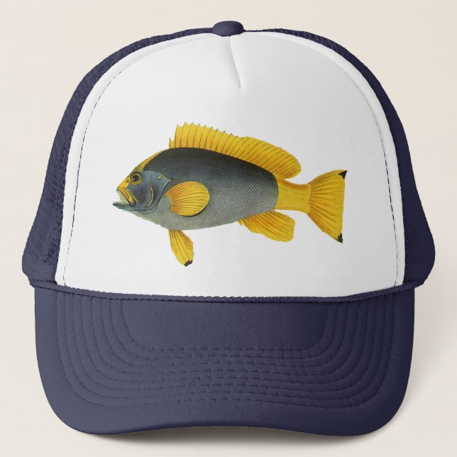 Blå och gul grouperfisk, gammal marin fauna truckerkeps (Framsida)