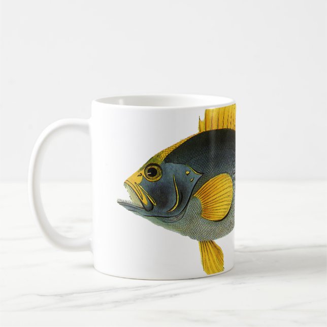 Blå och gul grouperfisk, gammal marinliv kaffemugg (Vänster)