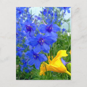 Blå och Gula blommor Vykort
