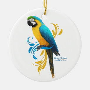 Blå och Guld Macaw Ornament