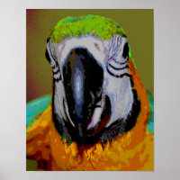 Blå och Guld Macaw Parrot Ansikte Abstrakt Art