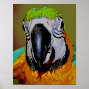 Blå och Guld Macaw Parrot Ansikte Abstrakt Art Poster