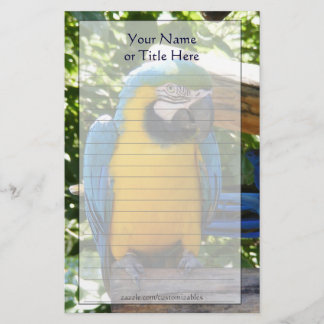 Blå och Guld Macaw Stationery Brevpapper