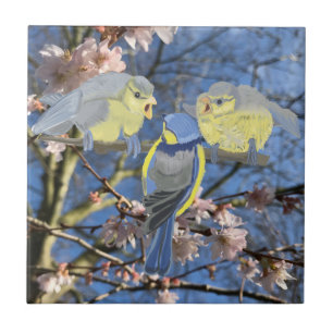 Blå och Gult Chickadee-familjen Kakelplatta