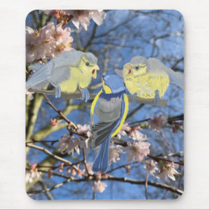 Blå och Gult Chickadee-familjen Musmatta
