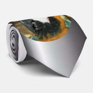 Blå och Gult Macaw från Amazon Slips