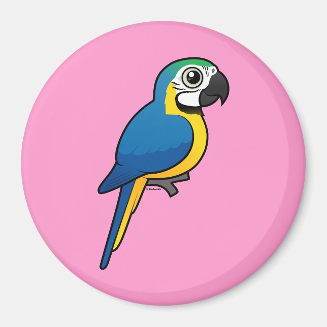Blå och gult Macaw Magnet (Framsidan)