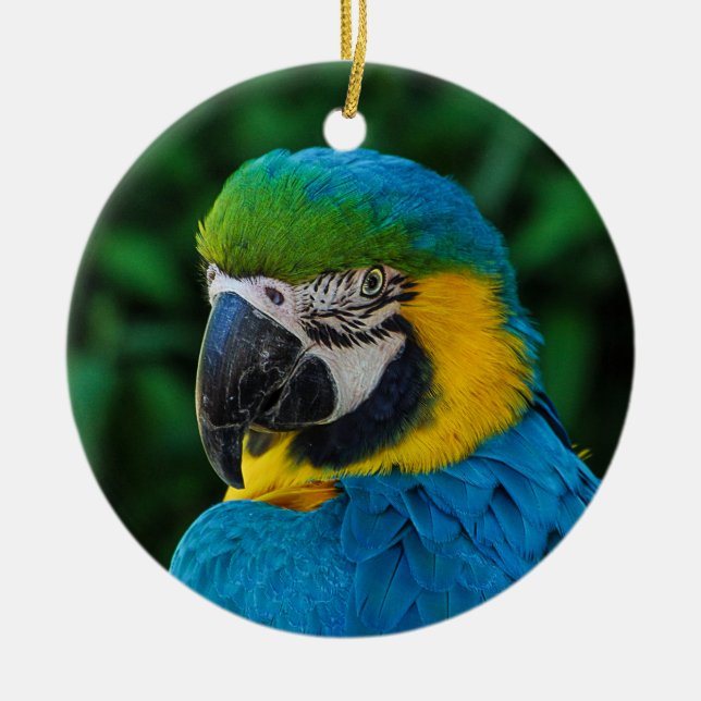 Blå och Gult Macaw Parrot Julgransprydnad Keramik (Framsidan)