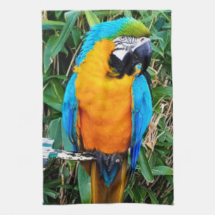 Blå och Gult Macaw Parrot Kökshandduk