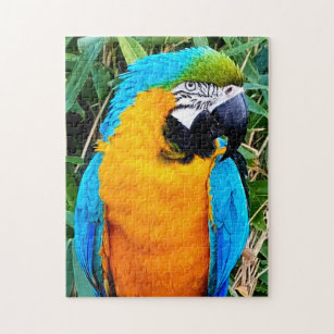 Blå och Gult Macaw Parrot Pussel
