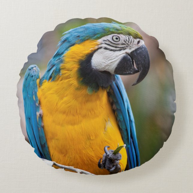 Blå och Gult Macaw Pillow Rund Kudde (Framsidan)