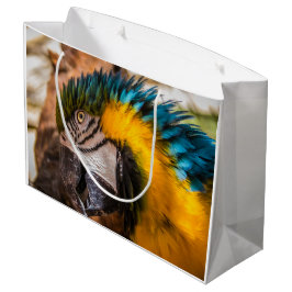 Blå och gult macaw porträtt