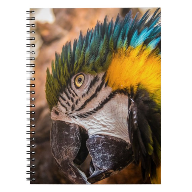 Blå och gult macaw porträtt anteckningsbok (Framsidan)