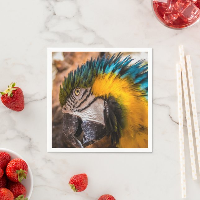 Blå och gult macaw porträtt pappersservett (Insitu)