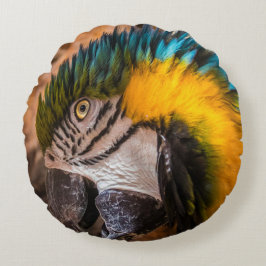 Blå och gult macaw porträtt rund kudde